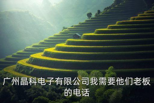 廣州晶科電子有限公司我需要他們老板的電話(huà)