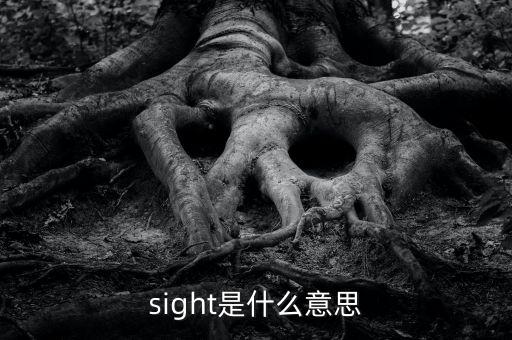 sight是什么意思