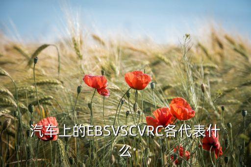 ebs系統(tǒng)，EBS指什么