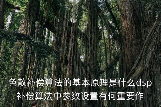 色散補(bǔ)償，色散補(bǔ)償算法的基本原理是什么dsp補(bǔ)償算法中參數(shù)設(shè)置有何重要作