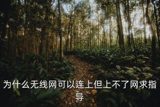 為什么無線網(wǎng)可以連上但上不了網(wǎng)求指導
