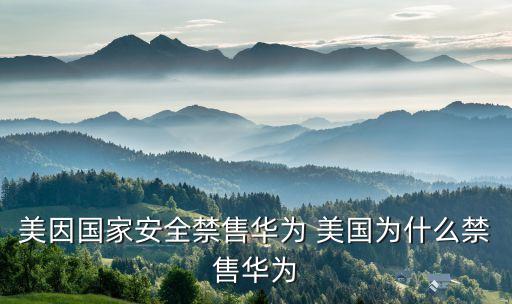 5g華為輸了，美國為什么打擊華為