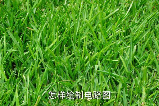 電路圖怎么畫，電路圖怎么畫
