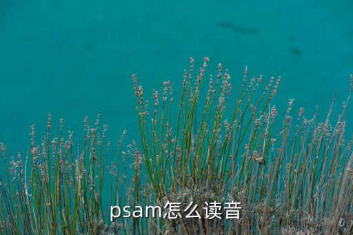 psam怎么讀音