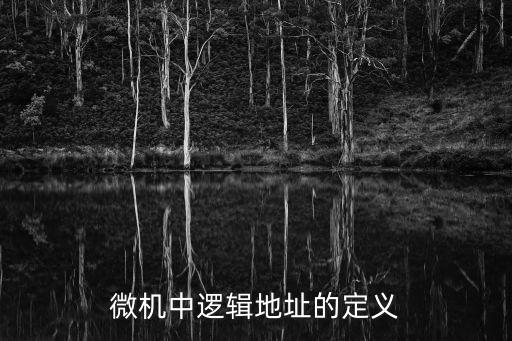 微機中邏輯地址的定義
