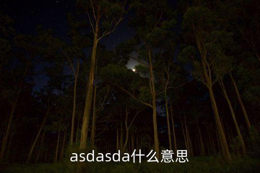 asdasda什么意思