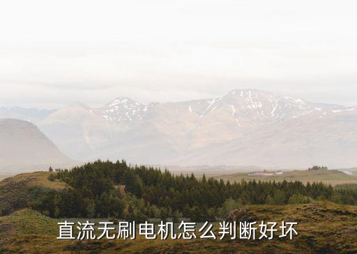直流無刷電機(jī)，直流無刷電動(dòng)機(jī)的介紹