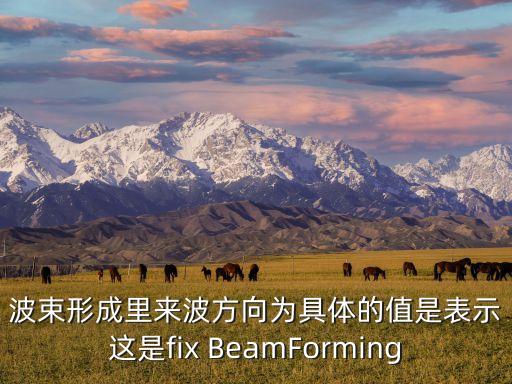波束形成里來波方向?yàn)榫唧w的值是表示這是fix BeamForming