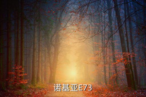 諾基亞E73