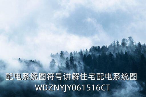 配電系統(tǒng)圖符號講解住宅配電系統(tǒng)圖 WDZNYJY061516CT