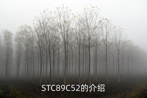 STC89C52的介紹