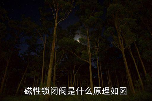 磁性鎖閉閥是什么原理如圖