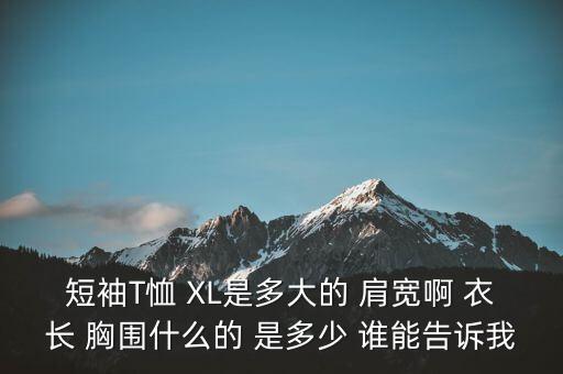 短袖T恤 XL是多大的 肩寬啊 衣長(zhǎng) 胸圍什么的 是多少 誰(shuí)能告訴我