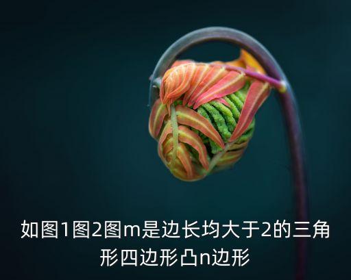 圖1，圖中的兩種紙幣分別叫什么圖一出現(xiàn)在何時何地