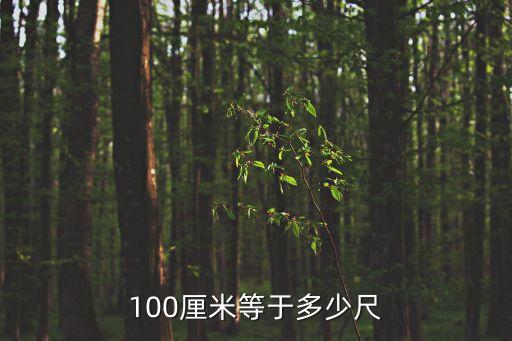 100厘米等于多少尺