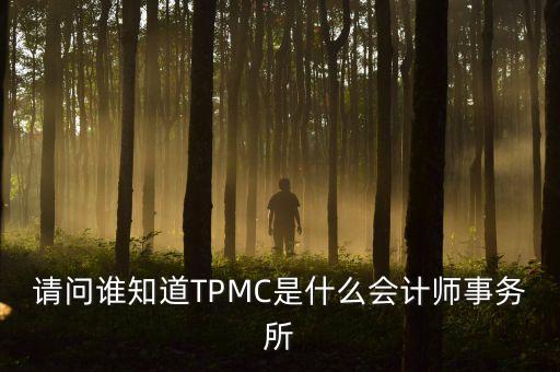 請問誰知道TPMC是什么會計師事務(wù)所