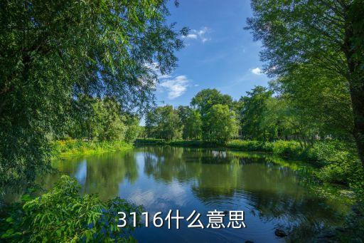 3116什么意思