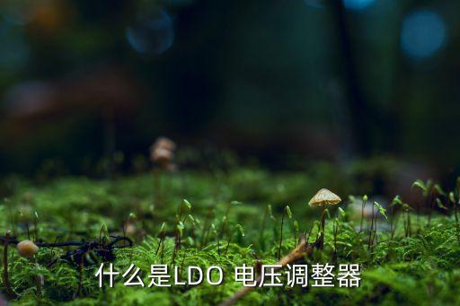 ldo，什么是LDO 電壓調(diào)整器