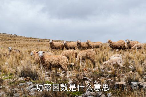功率因數(shù)是什么意思