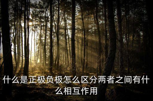 什么是正極負(fù)極怎么區(qū)分兩者之間有什么相互作用