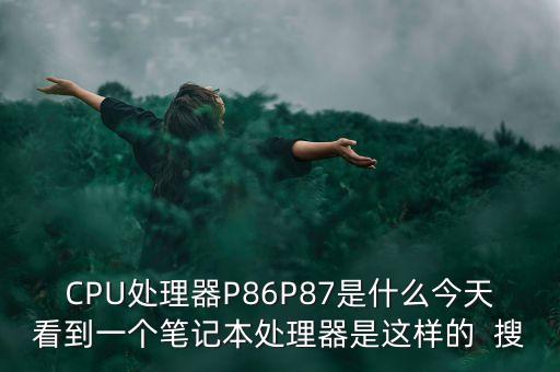 CPU處理器P86P87是什么今天看到一個筆記本處理器是這樣的  搜