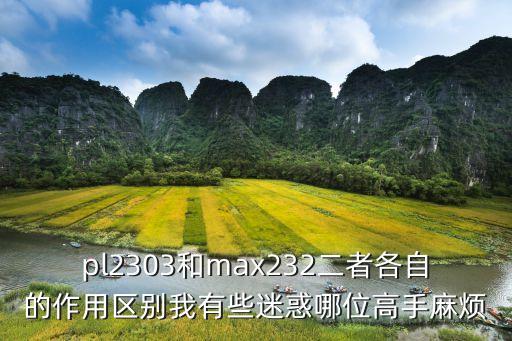 pl2303，pl2303是什么東西