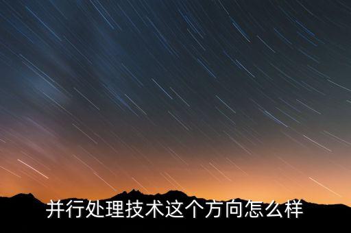 并行處理技術(shù)這個(gè)方向怎么樣