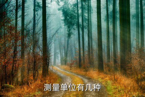 測(cè)量單位，測(cè)量單位有幾種