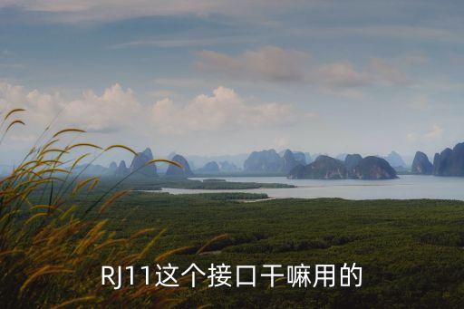 RJ11這個接口干嘛用的