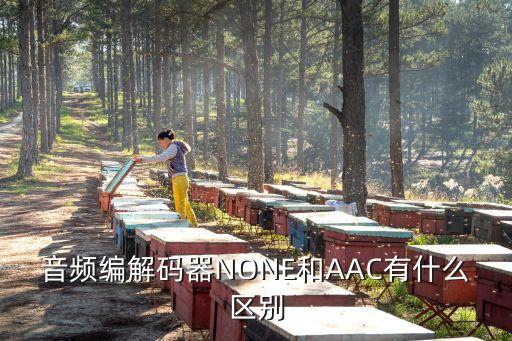 音頻編解碼器NONE和AAC有什么區(qū)別