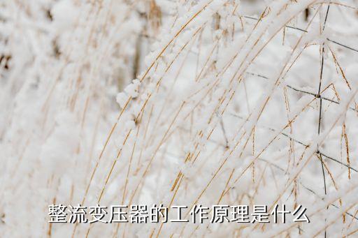 整流變壓器，什么是動(dòng)力變壓器什么是整流變壓器