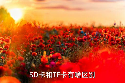 SD卡和TF卡有啥區(qū)別