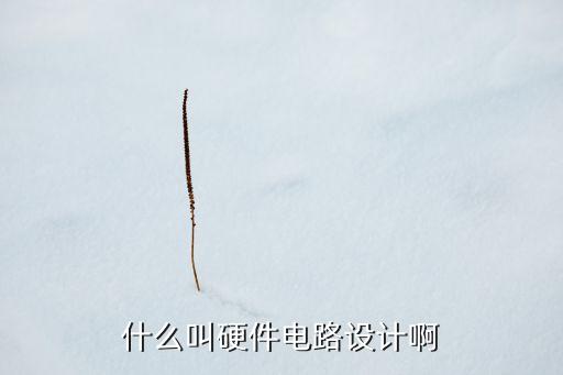 什么叫硬件電路設(shè)計(jì)啊