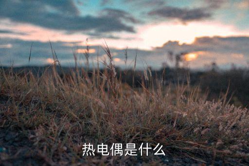熱電偶是什么