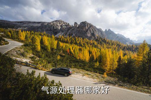 氣源處理器哪家好