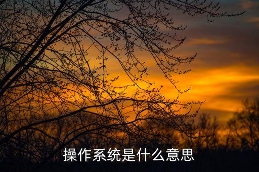 操作系統(tǒng)，操作系統(tǒng)是啥