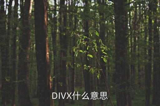 DIVX什么意思