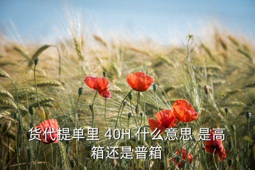 貨代提單里 40H 什么意思 是高箱還是普箱