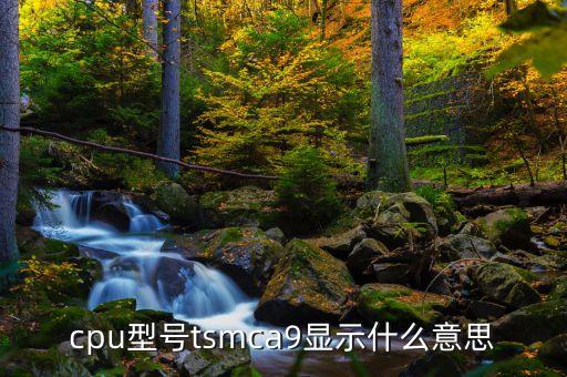 cpu型號(hào)tsmca9顯示什么意思