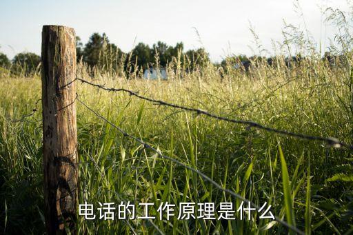 電話的原理，電話的工作原理是什么