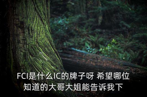 FCI是什么IC的牌子呀 希望哪位知道的大哥大姐能告訴我下
