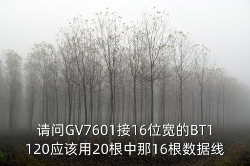 請(qǐng)問GV7601接16位寬的BT1120應(yīng)該用20根中那16根數(shù)據(jù)線