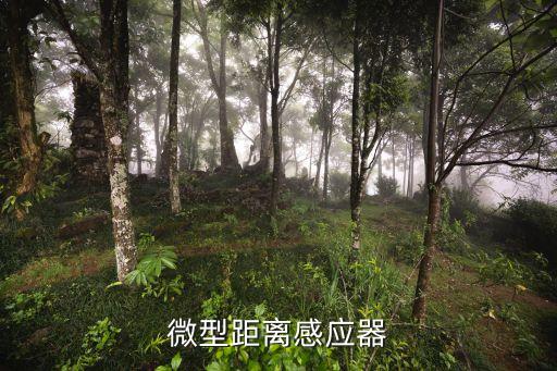 微型距離感應(yīng)器