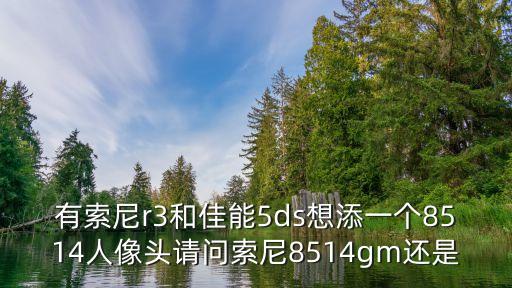 有索尼r3和佳能5ds想添一個8514人像頭請問索尼8514gm還是