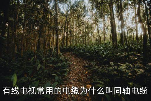 有線電視常用的電纜為什么叫同軸電纜