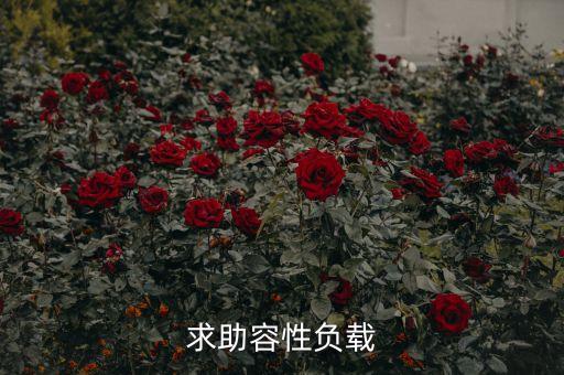 求助容性負(fù)載