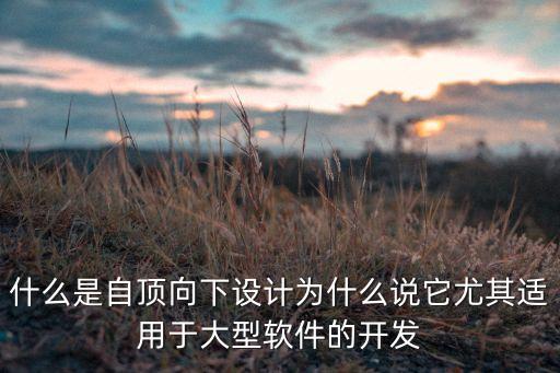 什么是自頂向下設(shè)計(jì)為什么說(shuō)它尤其適用于大型軟件的開(kāi)發(fā)