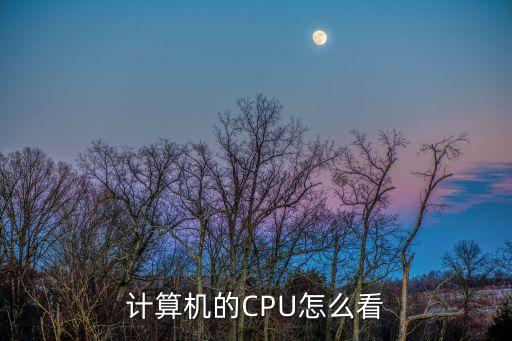 怎么看cpu，計(jì)算機(jī)的CPU怎么看