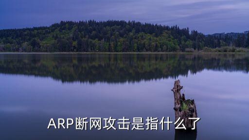 ARP斷網(wǎng)攻擊是指什么了