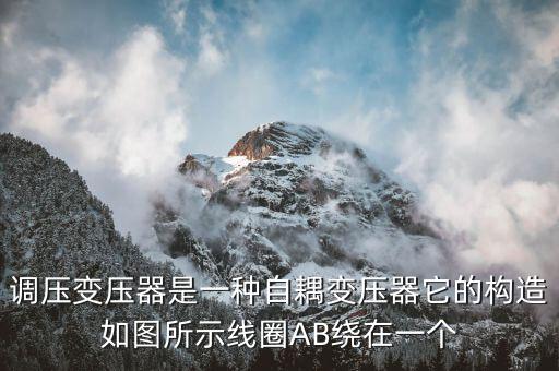調(diào)壓變壓器是一種自耦變壓器它的構(gòu)造如圖所示線圈AB繞在一個(gè)